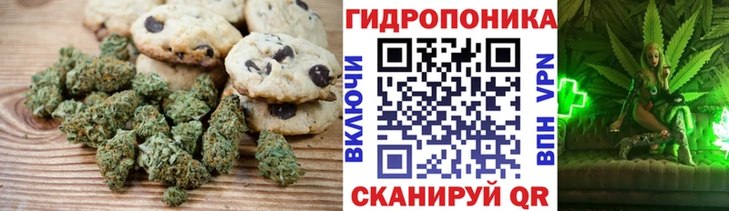 где купить наркоту Гудермес Cannafood марихуана