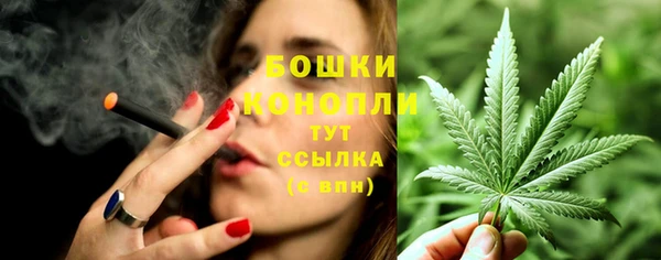шишки Баксан