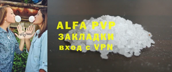 шишки Баксан