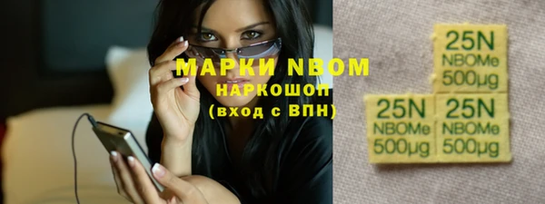 шишки Баксан