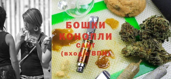 шишки Баксан