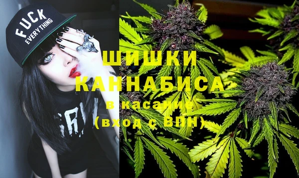 шишки Баксан
