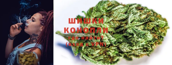шишки Баксан