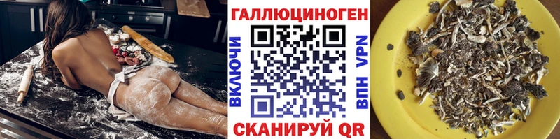 Псилоцибиновые грибы мицелий  купить наркотик  Гудермес 