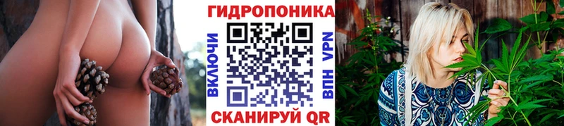 Бошки марихуана SATIVA & INDICA  нарко площадка формула  Гудермес 
